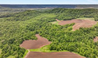 N3953-n3739 Bear Pen Road, Arkansaw, WI 54721