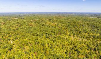 123 Acres Hanshaw, Olive Hill, KY 41164