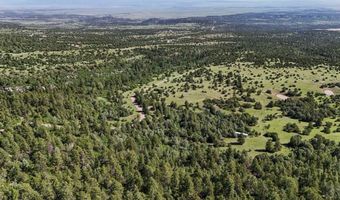 Old Homestead Ln, Beulah, CO 81023