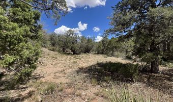 109 Of Twin Fawn Ln, Ash Fork, AZ 86320