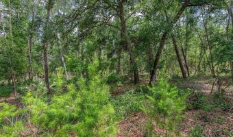 SE 152ND - RAVENSWOOD RD PARCEL B & C LOTS 16 17 Place, Altoona, FL 32702