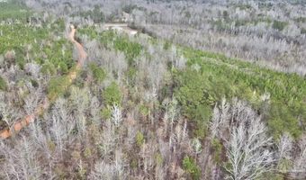 21000 Block Hwy 21, Beatrice, AL 36425