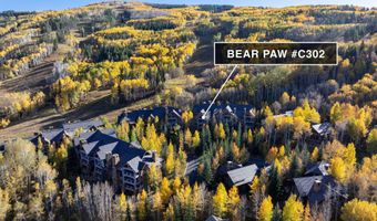 205 Bear Paw C302, Avon, CO 81620