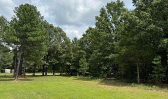 3 Dry Bone Rd, Ash Flat, AR 72513