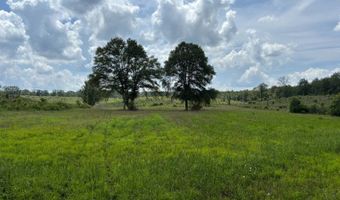 00 Ebenezer Church Rd, Bassfield, MS 39421