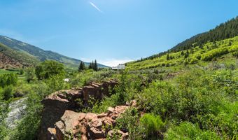 54 Spruce Rd, Basalt, CO 81621