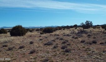 Parcel 107-52-046, Concho, AZ 85924