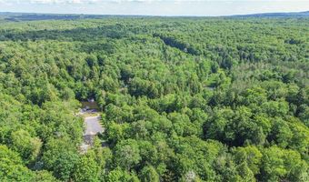 Parcel A Beaver Trail, Alder Creek, NY 13301