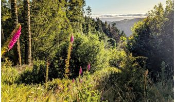23506 CARPENTERVILLE Rd, Brookings, OR 97415