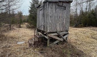 5280 Cathro Rd, Alpena, MI 49707