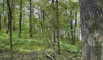 Tract 1 E Bay Road, Atkins, AR 72823