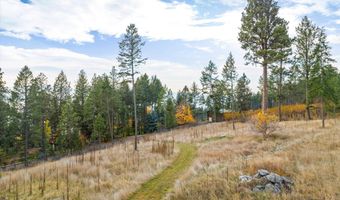 Nhn Sylvan Drive, Bigfork, MT 59911