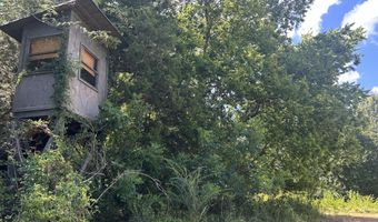 001 Farr Rd, Bolton, MS 39041