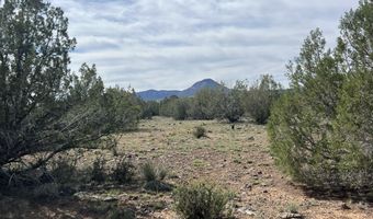 51 W Boiling Pot Rd, Ash Fork, AZ 86320