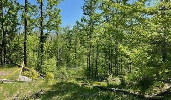 5436 Valley Rd, Alanson, MI 49706