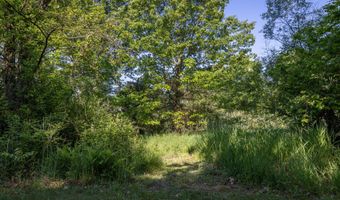 28 Mile Rd, Albion, MI 49224