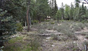 264 Ponderosa Homes Rd, Bayfield, CO 81137