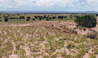 River Meadows Ranch lot 214, Concho, AZ 85924