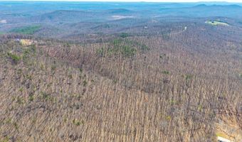 Larkin Mountain, Amherst, VA 24521