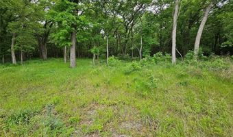 Lot 221 Banjo Court, Alvord, TX 76225