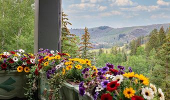 20 Elk Track Ct, Beaver Creek, CO 81620