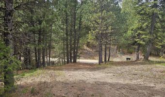 59 Price Loop, Cascade, ID 83611