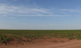 FM 597, Abernathy, TX 79311