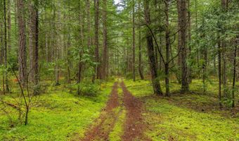 Upper Cow Creek Road, Azalea, OR 97410