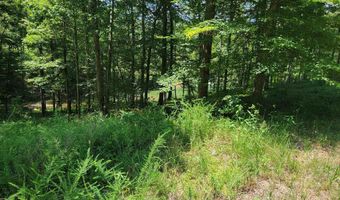 Lot 25 Legendary Parkway, Arley, AL 35541