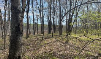 1544 Willard Lake Rd NW, Backus, MN 56435
