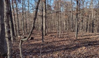 1003 Hidden Valley Lks, Annapolis, MO 63620