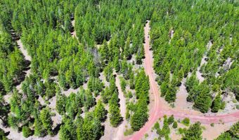 8193 Carlsberg Rd, Alturas, CA 96101