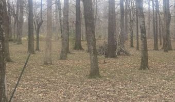 CYPRESS POINT DRIVE lot 12, Akron, AL 36776