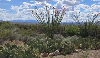 995 S RUBY DARE Rd, Bisbee, AZ 85603