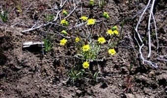 Hafer Hills Rd Ln lot 10, Alturas, CA 96101
