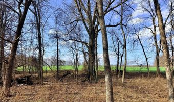 0001 CR-290, Asbury, MO 64832