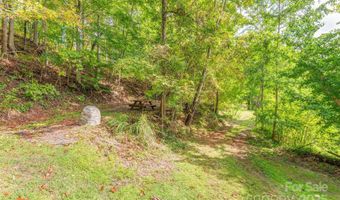 40 Craggy View Ln, Barnardsville, NC 28709