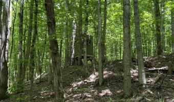 JINKS ROAD, Bernice, LA 71222