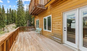 52 Coot Pl, Alma, CO 80420