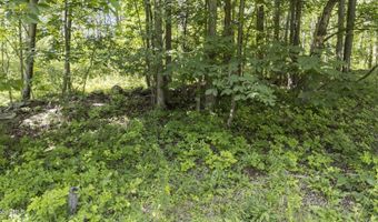 181 Gray Rd, Altamont, NY 12009