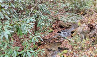 135 49ac Webb Creek Rd, Andrews, NC 28901