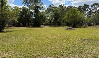24138 PANTHER Rd, Astor, FL 32102