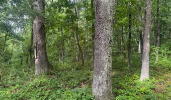 37928 Buck Run Rd, Albany, OH 45710