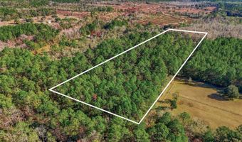20616 NW 75TH St, Alachua, FL 32615