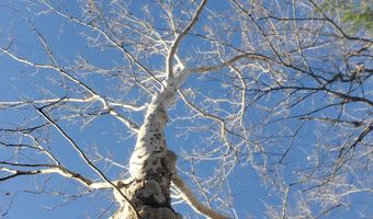 4775 S 50th Rd, Aldrich, MO 65601