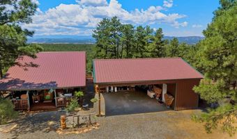 23251 Elk Trl, Aguilar, CO 81020