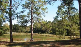 3821 Ga Highway 112 W, Ashburn, GA 31714