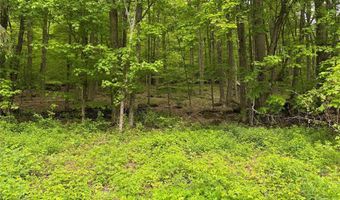 6641 Fall Clove Rd, Andes, NY 13752