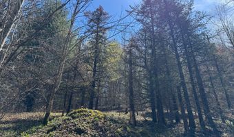 tbd Big Sky Lane, Banner Elk, NC 28604