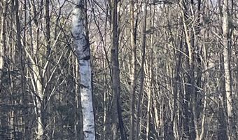 Old Franconia Road, Bethlehem, NH 03574